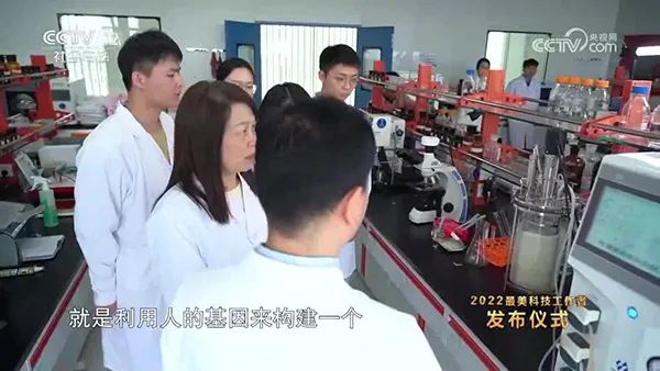 實(shí)驗(yàn)室發(fā)酵罐 實(shí)驗(yàn)室發(fā)酵罐