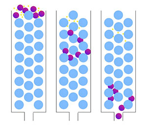 SEC尺寸排阻法 SEC尺寸排阻法