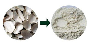 陶瓷膜過濾在蕓豆提取物中的運(yùn)用